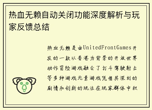热血无赖自动关闭功能深度解析与玩家反馈总结